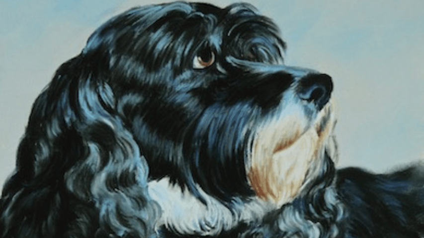 Your Honor, pastel, 14 x 11"