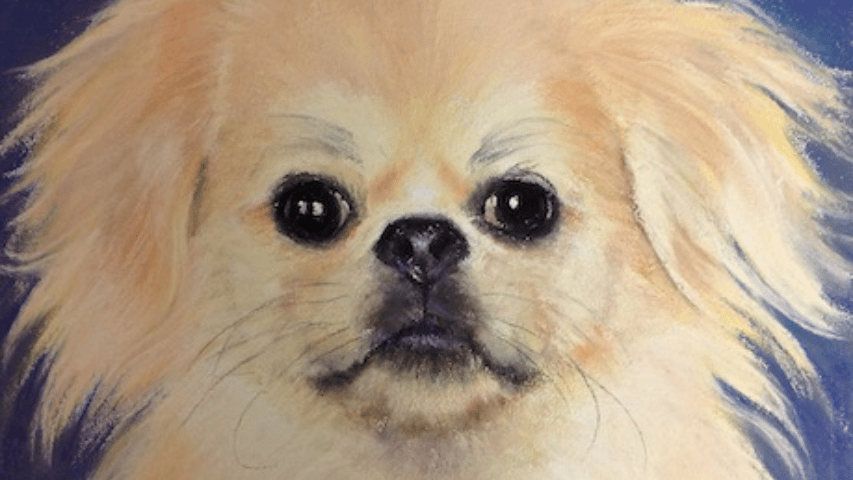 MIT ZEE, pastel, 7.5 x 8.5"