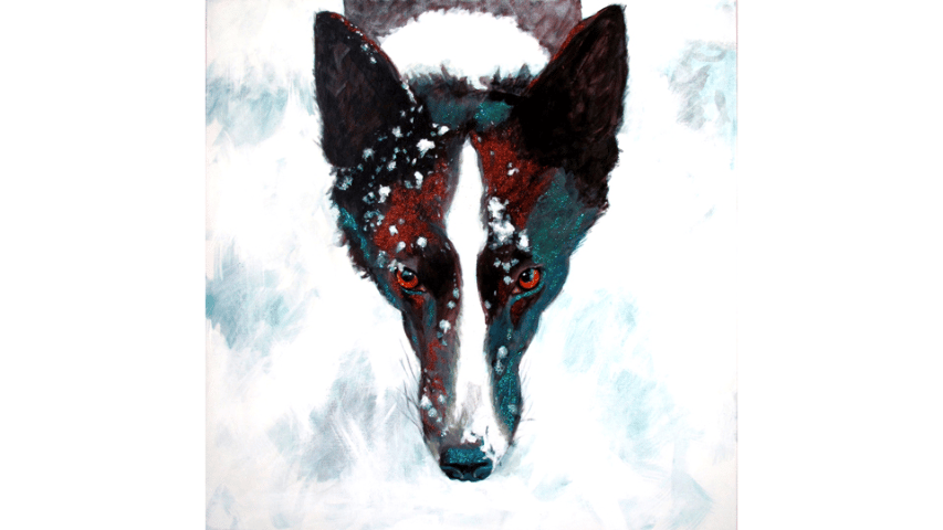 Mikka, Paint & Glitter, 14x14in.