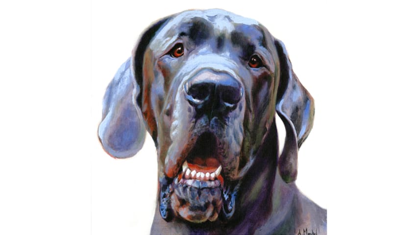 Henry, Extreme Close-up, 24x24in.