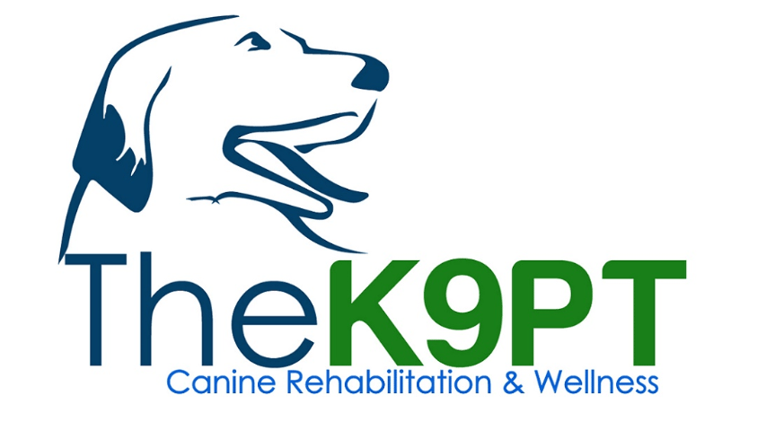 TheK9PT - Canine Rehabilitation and Wellness - Chicago, IL
