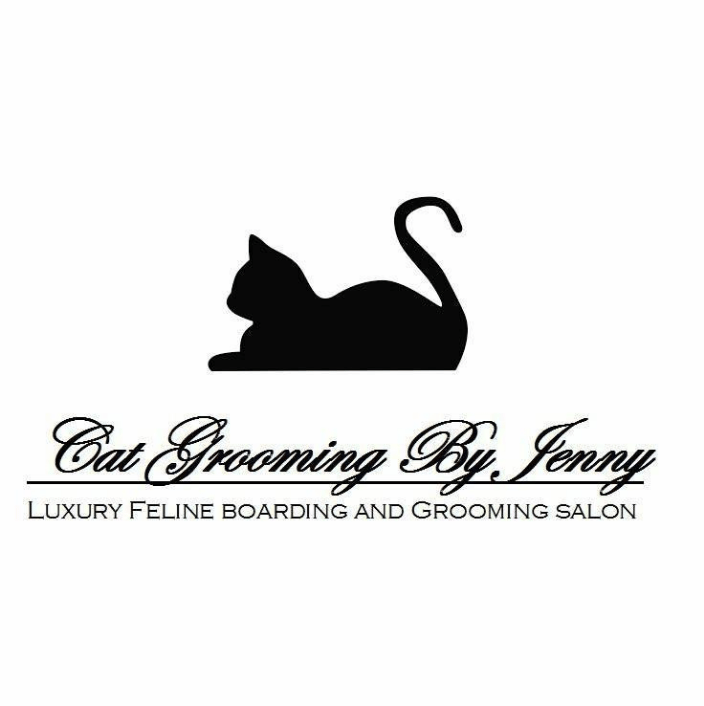 Cat discount boarding omaha