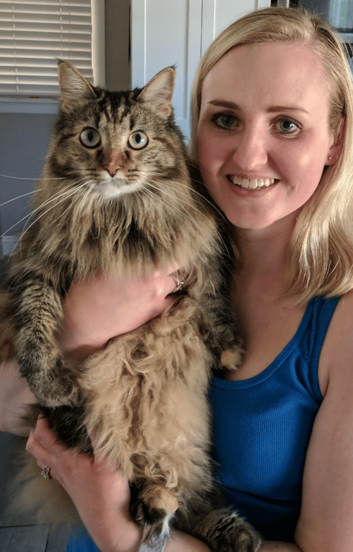 Cat best sale boarding omaha