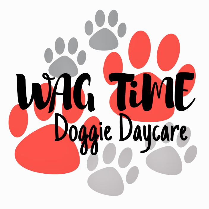 Arlington TX Wag Time Doggie Daycare