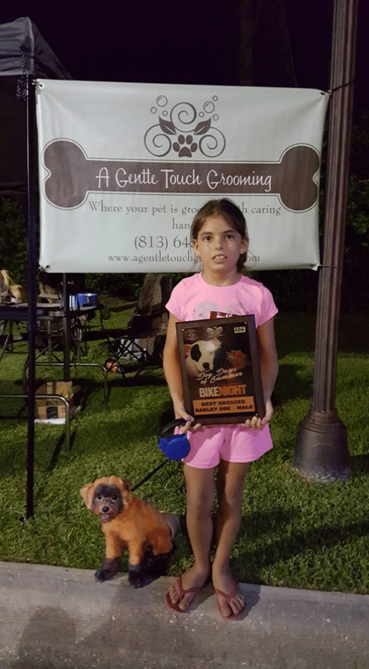 Gentle touch mobile pet grooming store