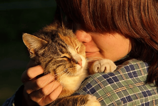 Indianapolis IN All Pets Go To Heaven Crematory Pet Cremation