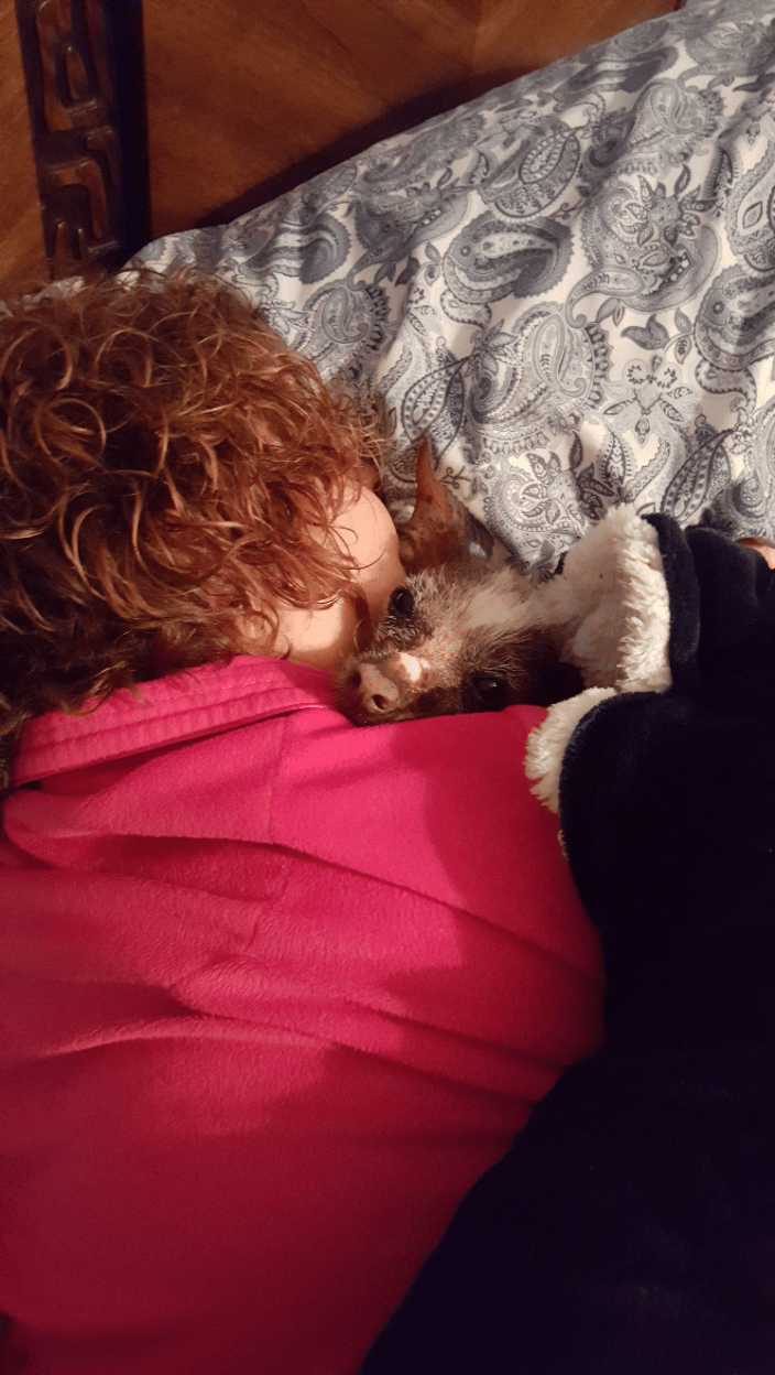 Pink and Nancy support each other the day after Toaster's Lift UP