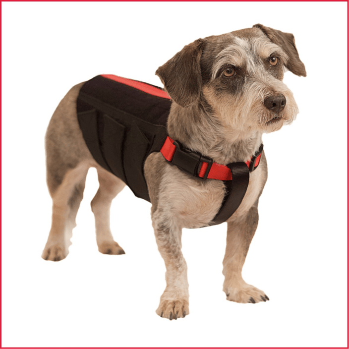 Wiggleless best sale back brace