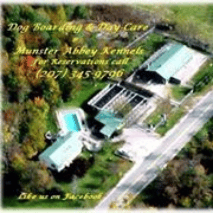 Minot ME Dog Boarding Day Care Munster Abbey