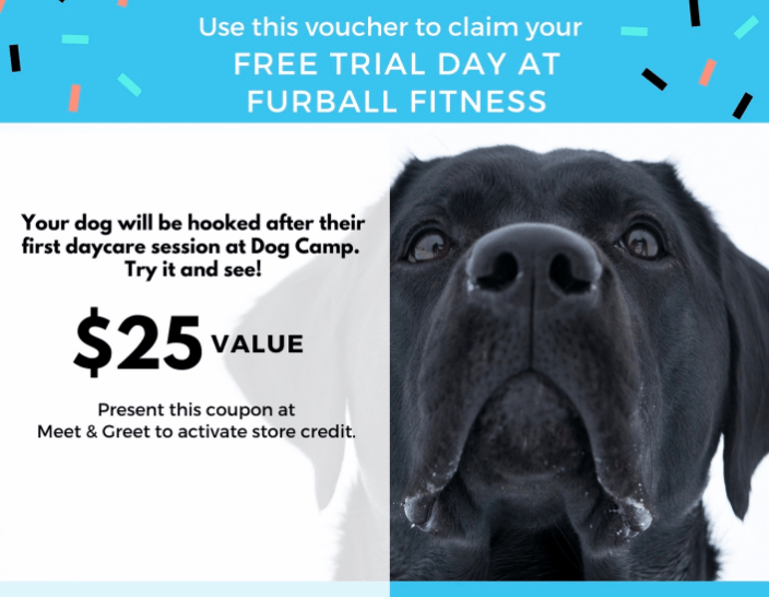 Furball fitness store
