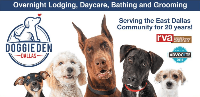 Doggie den daycare best sale