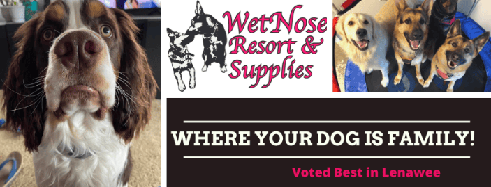 Adrian MI WetNose Resort and Supplies Pet Boarding