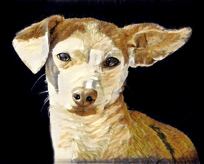 photo illustration work, "Lulu"