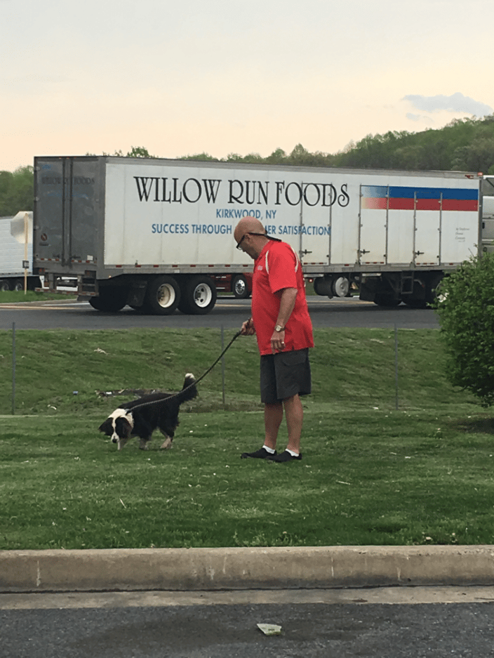 Dog walking 101....:)