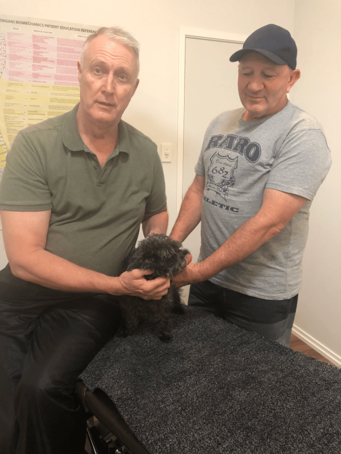 Picture of me treating a dog