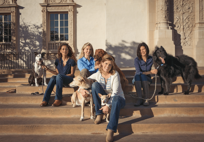 Our Compassionate Veterinarians 