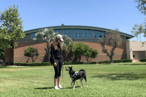 Trainer Mara and her dog Ciara