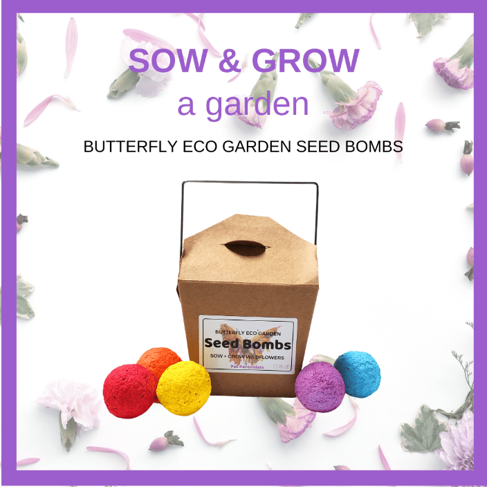 Sow and Grow Garden - Seed Bombs