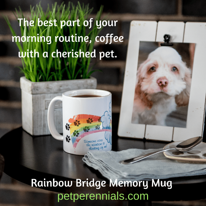 Rainbow Bridge Memory Mug 