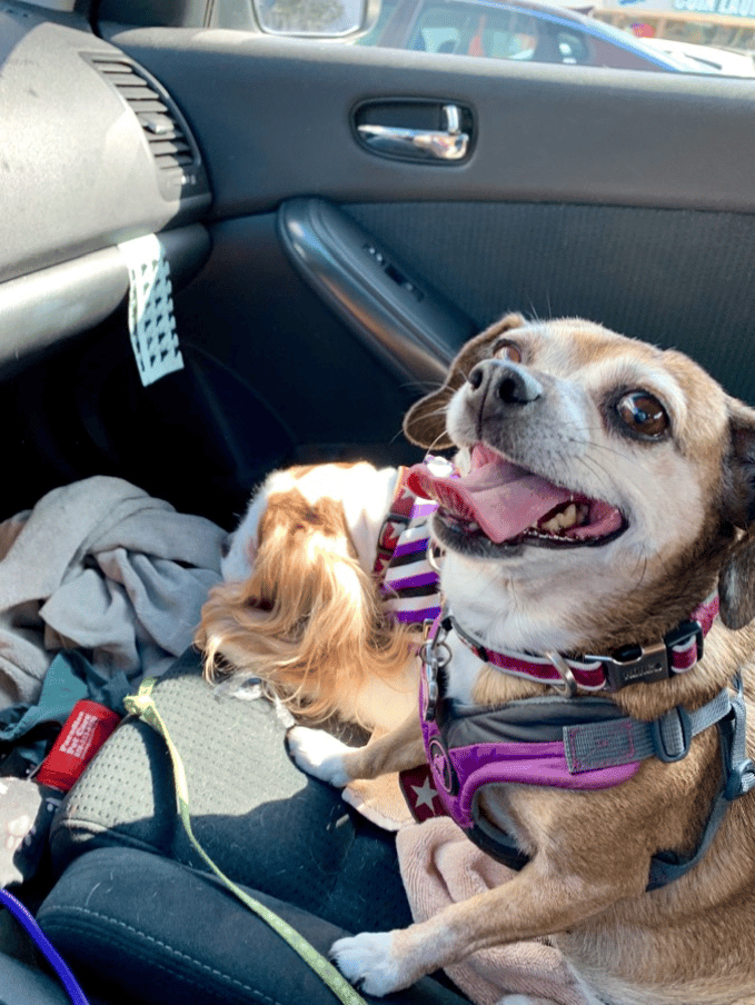 Apple on her ride with PPC