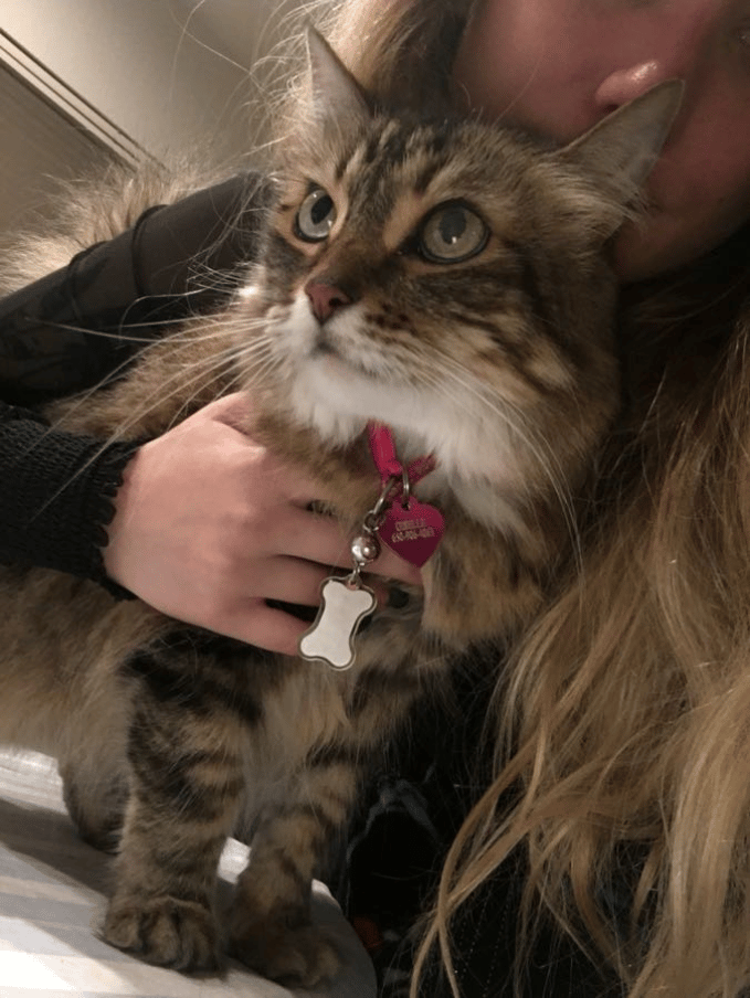 Gizelle, getting love from her sitter