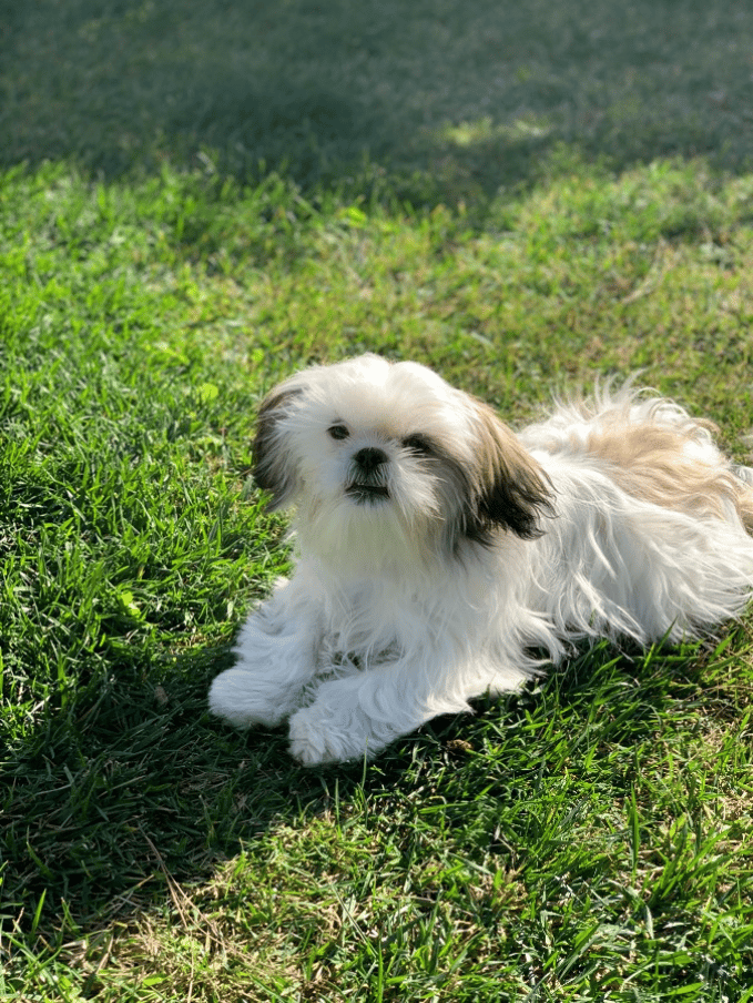 Haley, the poser. 