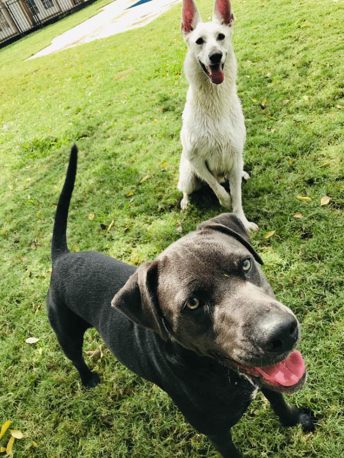 Enjoying a 1on1 playtime!