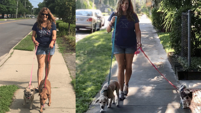 Out for a walk