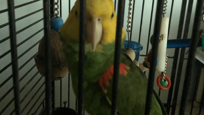 Talking with Mai Kai