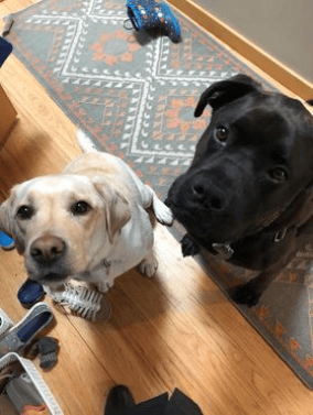 Abby and Bohdi