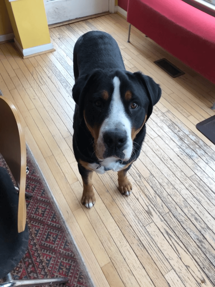 Aldo
