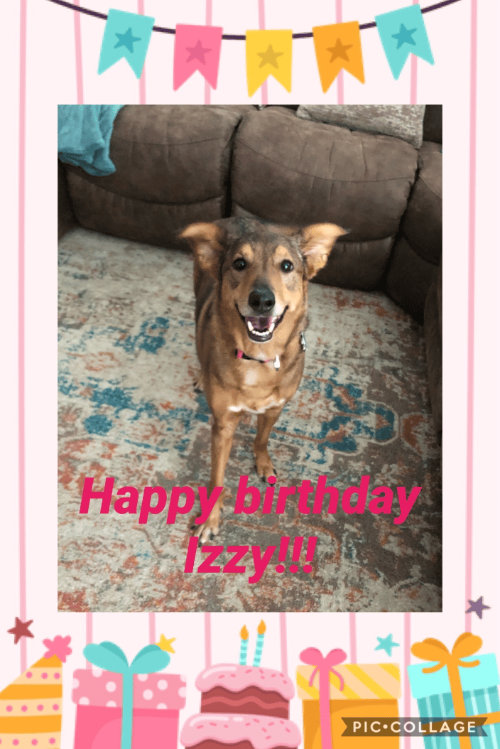 Izzy