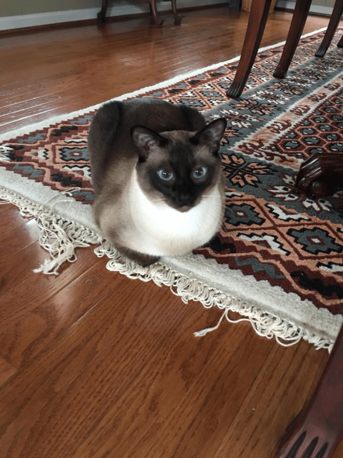 Oliver