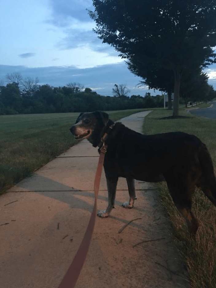 Roxie