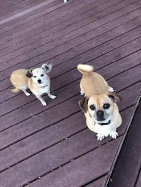 Sasha and Lucy