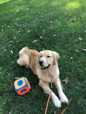 Winston