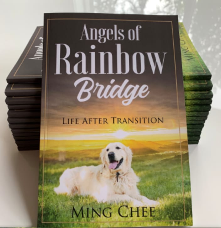 A book inspired by my corgi Lucy