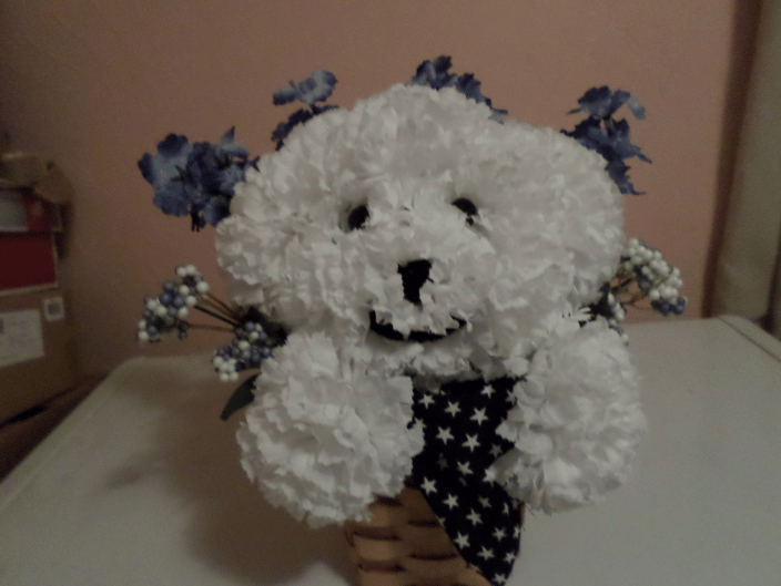 Sweet Sammy puppy bouquet.