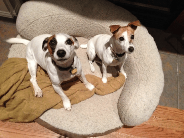 Hank and Audrey