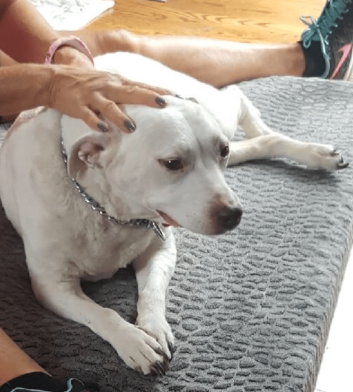Sharing Reiki