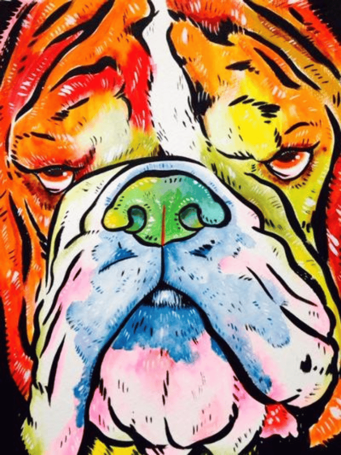 Bulldog