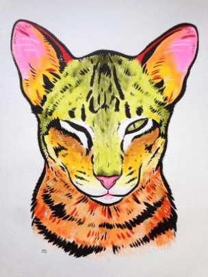 Winking Kitty