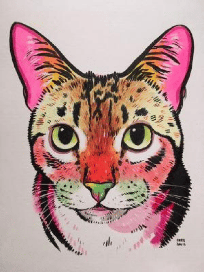 Soulful Cat
