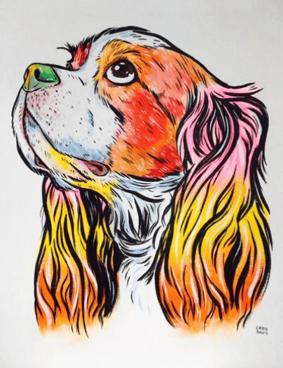 Glamour Spaniel