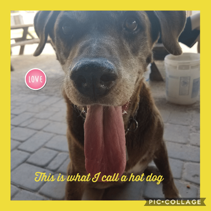 Satisfied customer