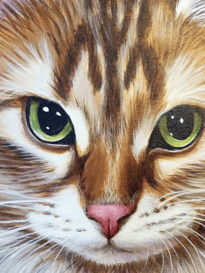 Close up detail of a cat portrait