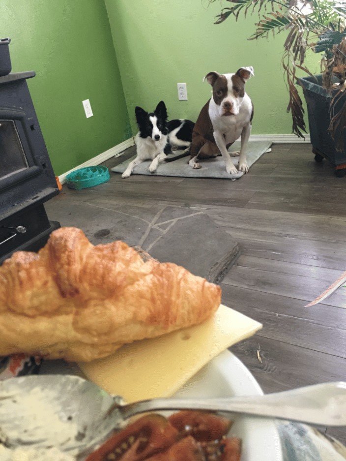 No more trying to steal your food or drooling on your knee with the Magic Mat game!