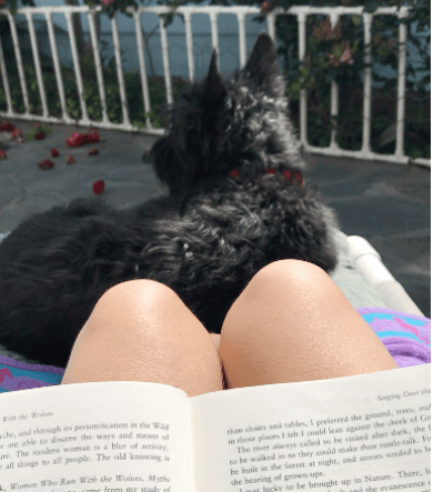 Bonnie in one of her favorite spots, the lounge chair, in the sun with me