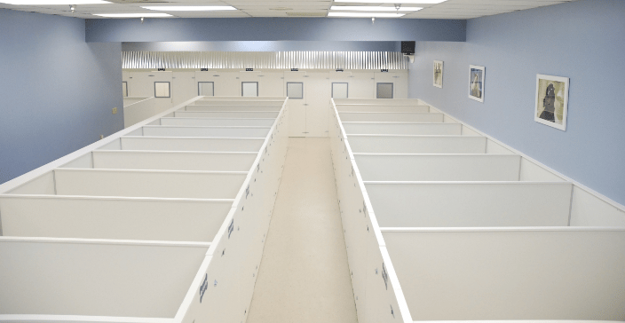 Dog Boarding Suites