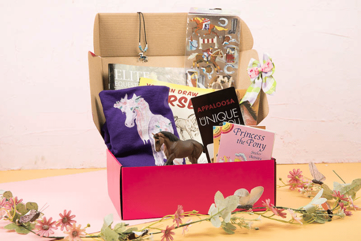 LaLa Horse's Mystery Box